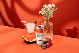 Highly Casual | High Five Strawberry + Watermelon Seltzer 1:1 THC:CBD | 5mg:5mg -12 FL OZ