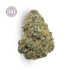 Product Preview Image 1