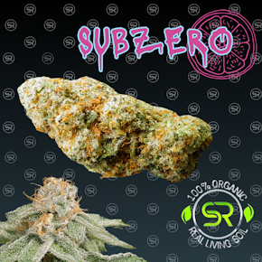 Sub Zero - Buds (Hybrid)