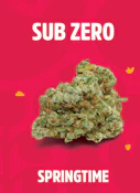 [REC] Springtime | Sub Zero | 3.5g Flower