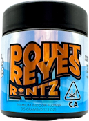 Point Reyes R*ntz 3.5g Jar - High Tops
