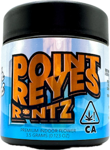 HIGHTOPS - Point Reyes R*ntz 3.5g Jar - High Tops