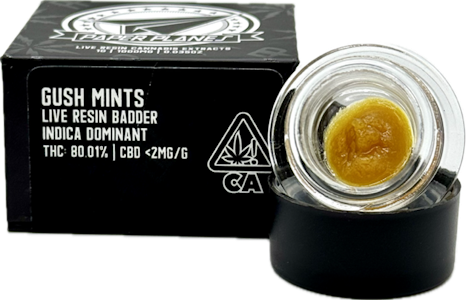 Paper Planes - Gush Mints 1g Live Resin Badder - Paper Planes