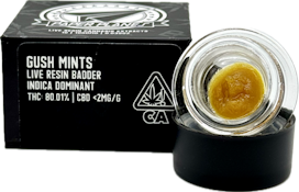 Gush Mints 1g Live Resin Badder - Paper Planes