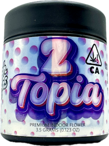 HIGHTOPS - Z Topia 3.5g Jar - High Tops