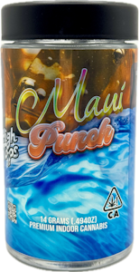 HIGHTOPS - Maui Punch 14g Jar - High Tops