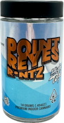 Point Reyes R*ntz 14g Jar - High Tops