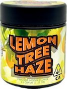 Lemon Tree Haze 3.5g Jar - High Tops