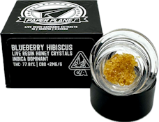 Blueberry Hibiscus 1g Live Resin Honey Crystal - Paper Planes