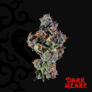 Dark Heart | Sugar Kushions | 3.5g