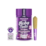 Sugar Plum 5pk Infused Prerolls (2.5g total/.5g each) - JEETER