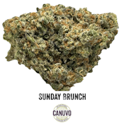 Canuvo | Sunday Brunch | 3.5g [H]