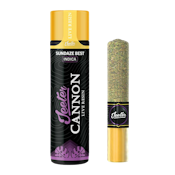 Sundaze Best (I) | 1.3g Single Baby Cannon Infused Preroll | Jeeter
