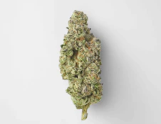 Grocery - Trop Cherry - Flower - 28g