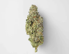 Rolling Green - Lilac Diesel - Flower - 3.5g