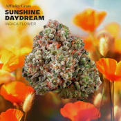 Sunshine Daydream Flower T27.68% I 00870