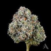 Sunshine Daydream Flower T27.13% I 00439