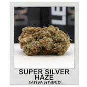 Super Silver Haze