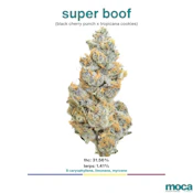 MOCA Flowers - Smalls 1/4 Bag - Super Boof