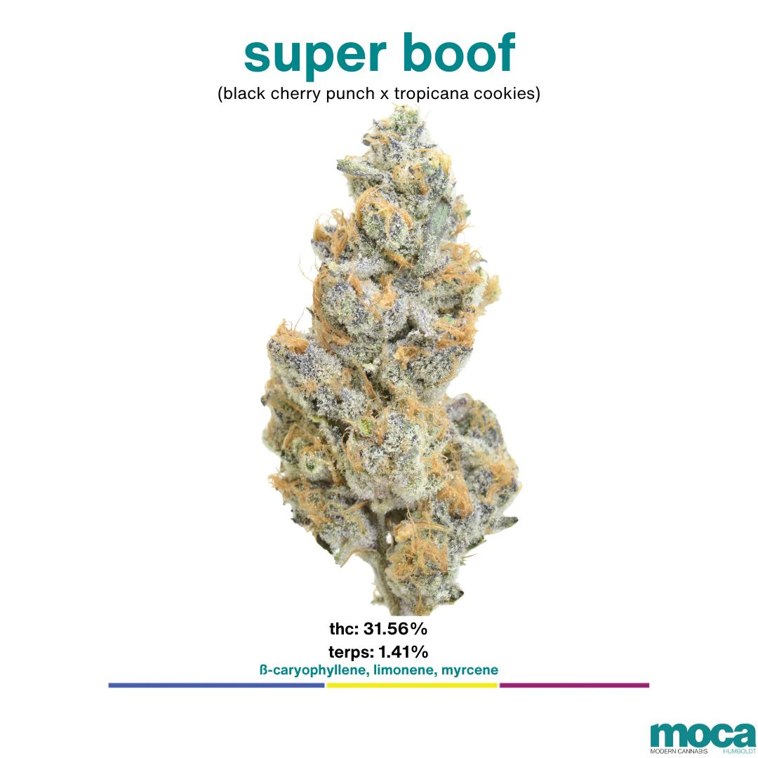 MOCA Flowers - MOCA Flowers - 1/8th Mylar Bag - Super Boof Main Image