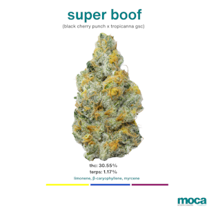 MOCA Flowers - MOCA Flowers - 1G Smalls - Super Boof