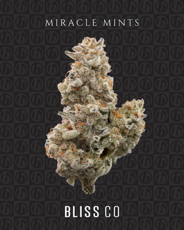 Bliss - Bliss Co. Joint .7g Miracle Mints Main Image