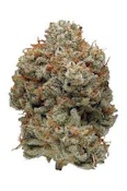 TRIP - SUPER GLUE HAZE 3.5 GRAMS