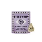 Field Trip | Super Jealous | Smalls | 5g