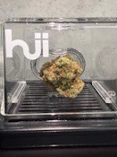 Super Lemon Haze | Sativa