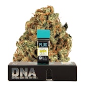 PLUG+PLAY - Super Lemon Haze - 1G - Sativa - Vape Pod