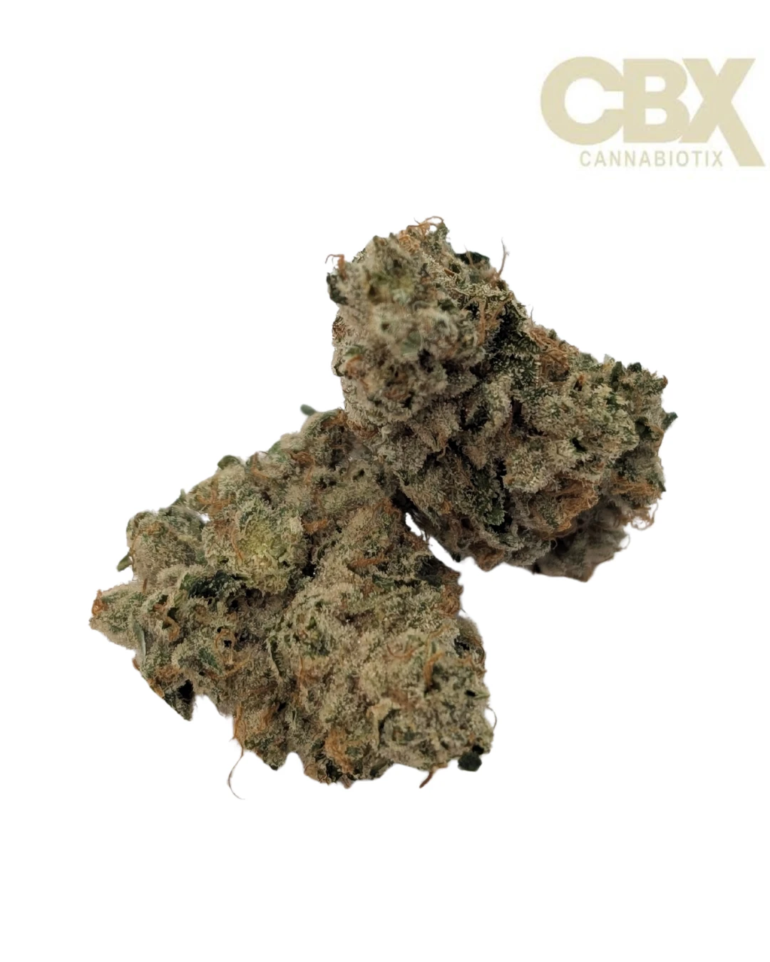 CBX: Cannabiotix - Super Mango Haze Main Image