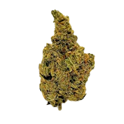 NV Super Silver Haze | 3.5g