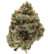 Alternative Solutions 14 Gram Super Lemon Haze Half ounce