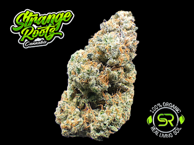 Strange Rootz - Super Boof (Buds)