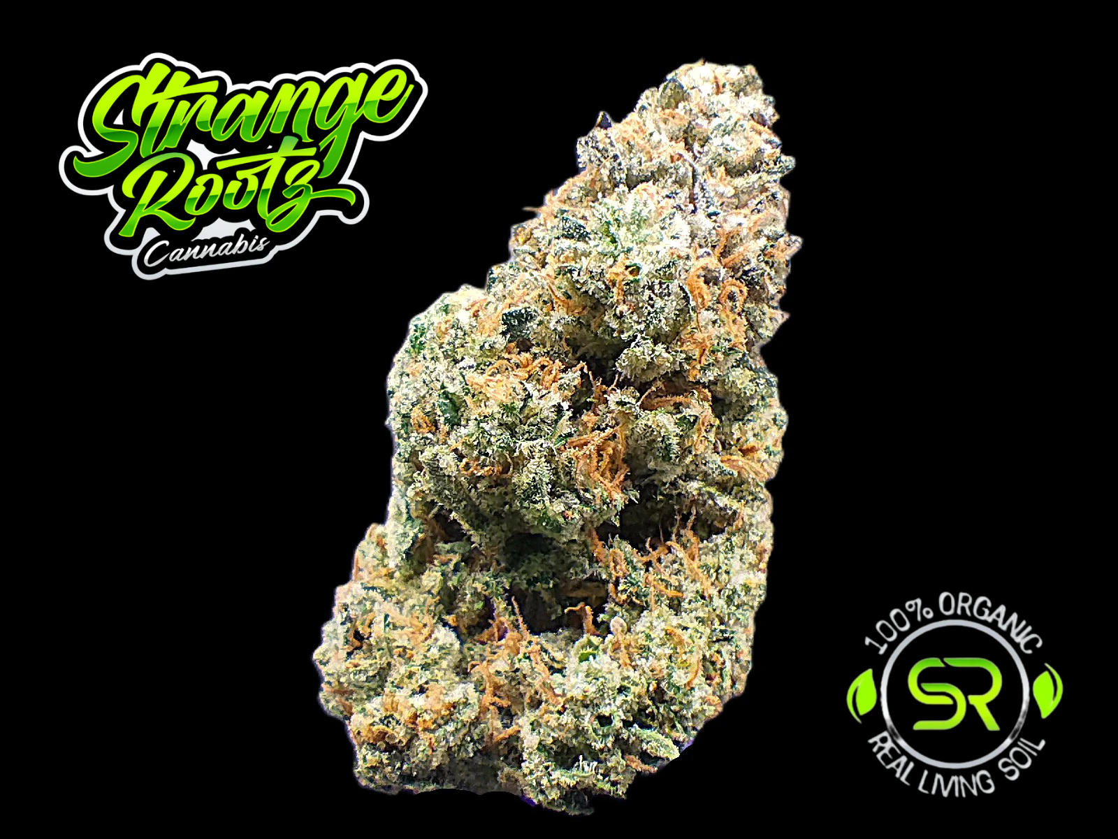 Strange Rootz - Super Boof (Buds) Main Image