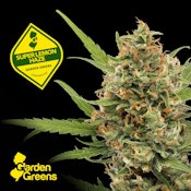 Garden Greens Super Lemon Haze 0.5g/2pk Preroll