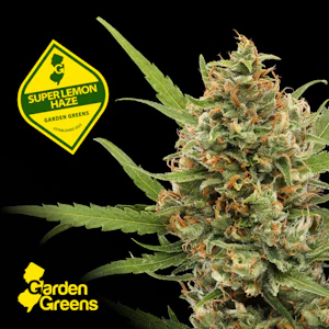 GARDEN GREENS - Garden Greens | Super Lemon Haze |  7g