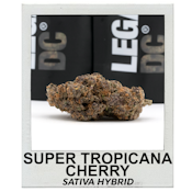 Super Tropicana Cherry