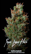 Super Lemon Haze (Sativa Hybrid) 1g Vape Cart By Alt Sol