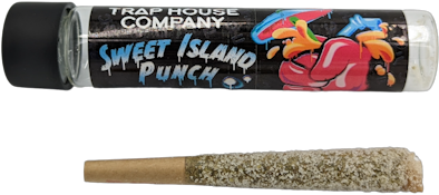 Sweet Island Punch Infused 1.25g Preroll