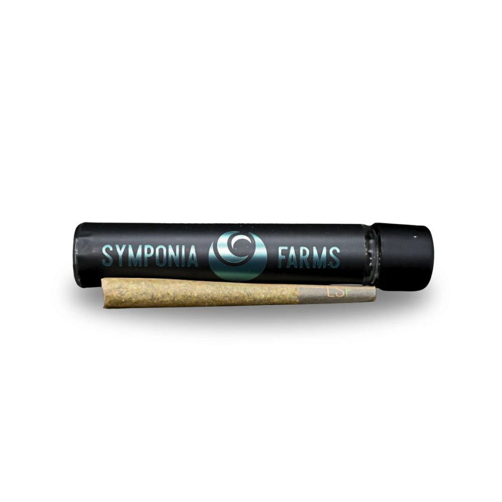 Symponia Farms - Acapulco Gold x Kush Mints 1g Bubble Hash Infused Preroll - SYMPONIA FARMS Main Image
