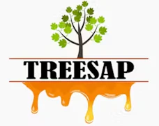 TREESAP SYRUP: Green Apple 2oz Syrup Tincture 1000mg (H)