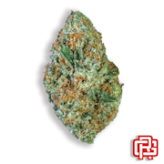 Tangie Biscotti Flower | Quarter Special
