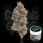 Green Dawg Cultivators Orange Mamba (H) Flower 3.5g