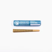 Himalaya Gelato Dosi (I) Infused Preroll 1g