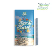 Tropical Burst - 1g (S) - Seed Junky