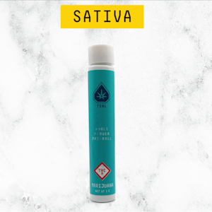 TEAL - TEAL - APPLES & BANANANS X APPLE FRITTER 1 GRAM PRE-ROLL