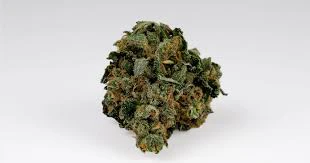 Flo - TERPENE CAKE 1/8 oz Main Image