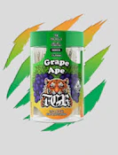 TGR x De La Bo - Grape Ape - Infused Preroll 14pk - 7G