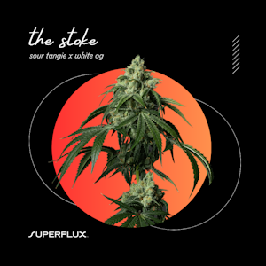 SUPERFLUX - Superflux | Premium Flower | The Stoke | 3.5g